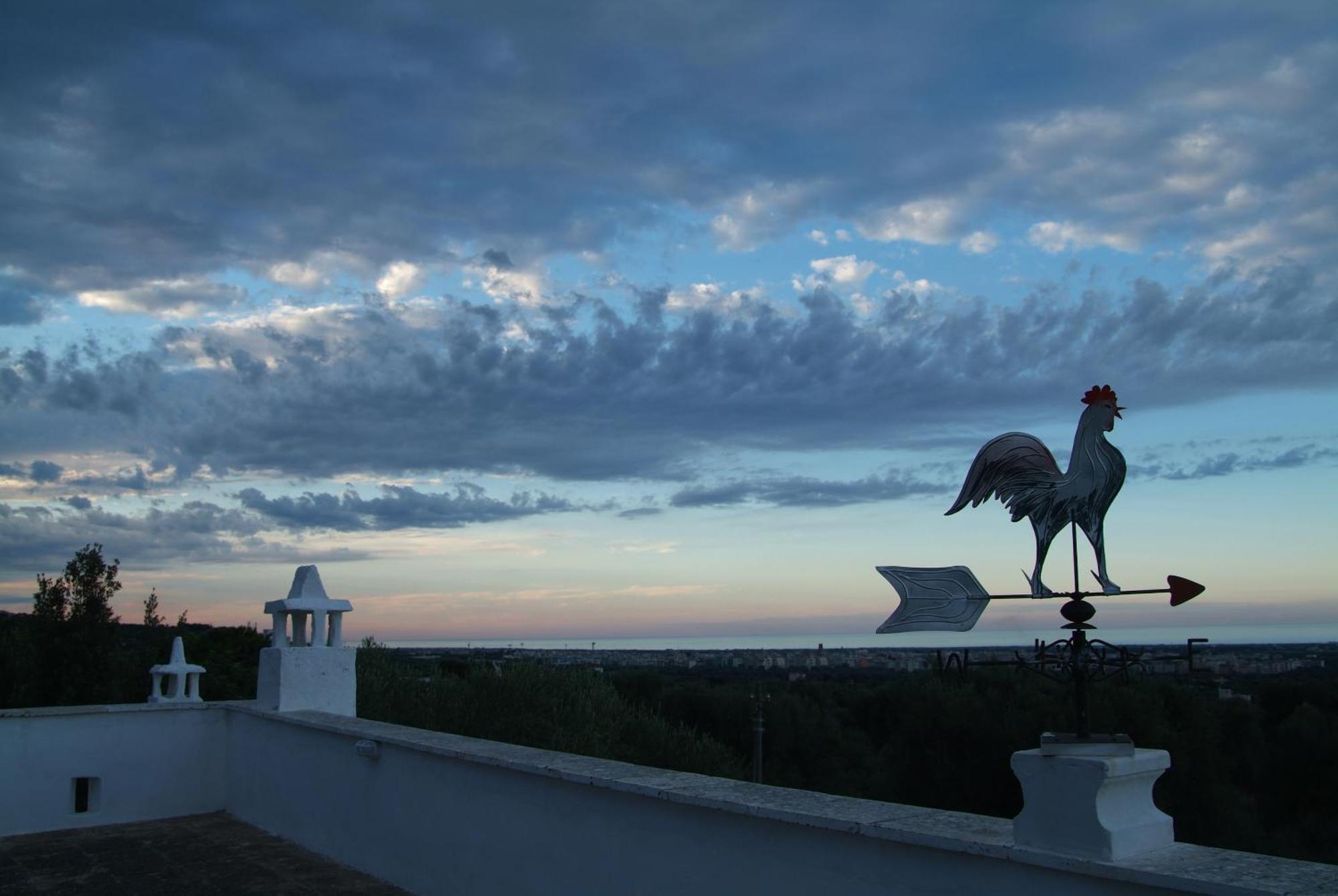 Masseria Trotta B&B Фазано Экстерьер фото